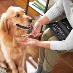 Frisco Dog & Cat Grooming Shears Kit -FRISCO Sales 206903 PT4. SY630 V1604009923