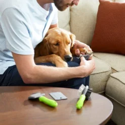 Frisco Beginner Grooming Kit for Dogs & Cats, 4-pack -FRISCO Sales 206909 PT8. SY630 V1600916167