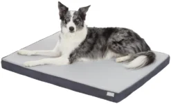 Frisco Cooling Orthopedic Pillow Dog Bed w/Removable Cover -FRISCO Sales 210223 PT2. SY630 V1590067622