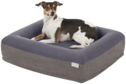 Frisco Orthopedic Rectangular Bolster Cat & Dog Bed w/Removable Cover -FRISCO Sales 210225 PT2. SY630 V1590067639