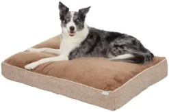 Frisco Plush Orthopedic Pillow Dog Bed with Removable Cover -FRISCO Sales 210279 PT2. SY630 V1590067298