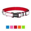 Frisco Solid Polyester Reflective Dog Collar -FRISCO Sales 212775 MAIN. SY630 V1619125939
