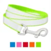 Frisco Solid Polyester Reflective Dog Leash -FRISCO Sales 212812 MAIN. SY630 V1619049473