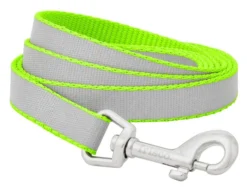 Frisco Solid Polyester Reflective Dog Leash -FRISCO Sales 212812 PT3. SY630 V1585679182