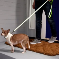 Frisco Solid Polyester Reflective Dog Leash -FRISCO Sales 212812 PT4. SY630 V1581114493