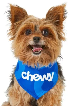 Frisco Chewy Dog & Cat Bandana