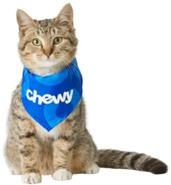 Frisco Chewy Dog & Cat Bandana -FRISCO Sales 213165 PT3. SY630 V1582062851