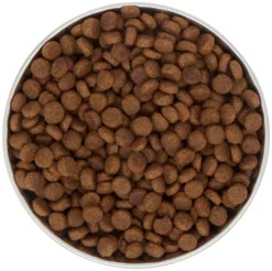 Frisco Heavy Duty Non-Skid Saucer Cat Bowl, Red Paw -FRISCO Sales 213423 PT4. SY630 V1599240402