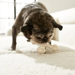 Frisco Chicken Flavor Tough Nylon Dog Chew Toy 7 Frisco Chicken Flavor Tough Nylon Dog Chew Toy -FRISCO Sales 213432 PT2. SY630 V1581715692