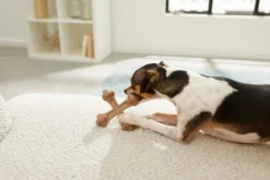 Frisco Peanut Butter Flavor Tough Nylon Dog Chew Toy -FRISCO Sales 213435 PT2. SY630 V1581715702