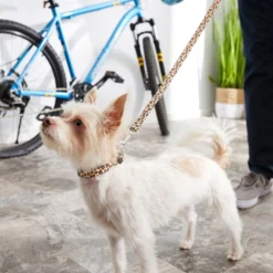 Frisco Leopard Print Polyester Dog Leash -FRISCO Sales 213759 PT4. SY630 V1628029580