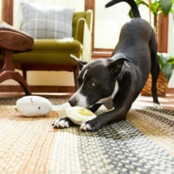 Frisco Plush Squeaking 2-in-1 Tearable Egg & Yolk Dog Toy -FRISCO Sales 213789 PT8. SY630 V1600488482