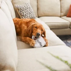 Frisco Ballistic Nylon Plush Squeaking Coffee Mug Dog Toy -FRISCO Sales 213795 PT8. SY630 V1600488416