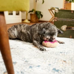 Frisco Strawberry Frosted Donut Dense Foam Squeaky Dog Toy 7 Frisco Strawberry Frosted Donut Dense Foam Squeaky Dog Toy -FRISCO Sales 213804 PT8. SY630 V1600488492