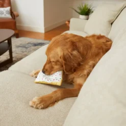 Frisco Frosted Pastry Plush Dog Toy 9 Frisco Frosted Pastry Plush Dog Toy -FRISCO Sales 213812 PT8. SY630 V1600488502