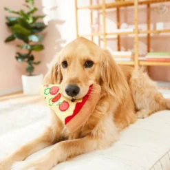 Frisco Plush Pizza Slice Dog Toy 7 Frisco Plush Pizza Slice Dog Toy -FRISCO Sales 213818 PT8. SY630 V1600488424