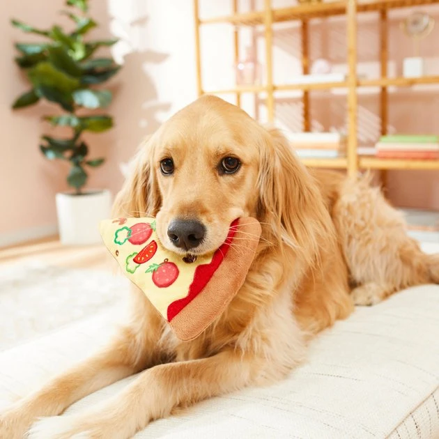 Frisco Plush Pizza Slice Dog Toy 5 Frisco Plush Pizza Slice Dog Toy - Image 3