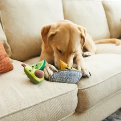 Frisco Hide & Seek Plush Guacamole Dog Toy -FRISCO Sales 213830 PT8. SY630 V1600488402