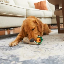 Frisco Plush Burrito Dog Toy -FRISCO Sales 213834 PT8. SY630 V1600488426