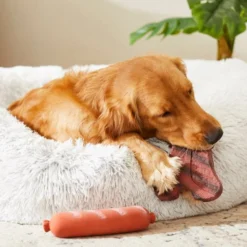 Frisco T-Bone Steak & Sausage Latex Dog Toy, 2-pack -FRISCO Sales 213842 PT8. SY630 V1600488507