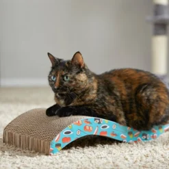 Frisco Sushi Delight Wave Cat Scratcher -FRISCO Sales 213908 PT8. SY630 V1600488470