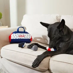 Frisco Hide-and-Seek USA Gym Bag Dog Toy -FRISCO Sales 214078 PT6. SY630 V1597596406