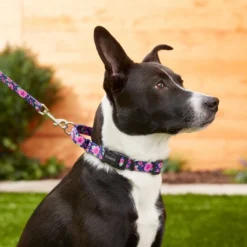 Frisco Patterned Polyester Martingale Dog Collar with Buckle -FRISCO Sales 214410 PT5. SY630 V1583418502