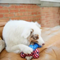 Frisco Americana TPR Bone Squeaky Dog Toy, 2 count -FRISCO Sales 214651 PT6. SY630 V1597596450