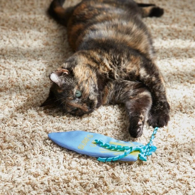 Frisco Summer Fun Surfboard Kicker Cat Toy 4 Frisco Summer Fun Surfboard Kicker Cat Toy - Image 2