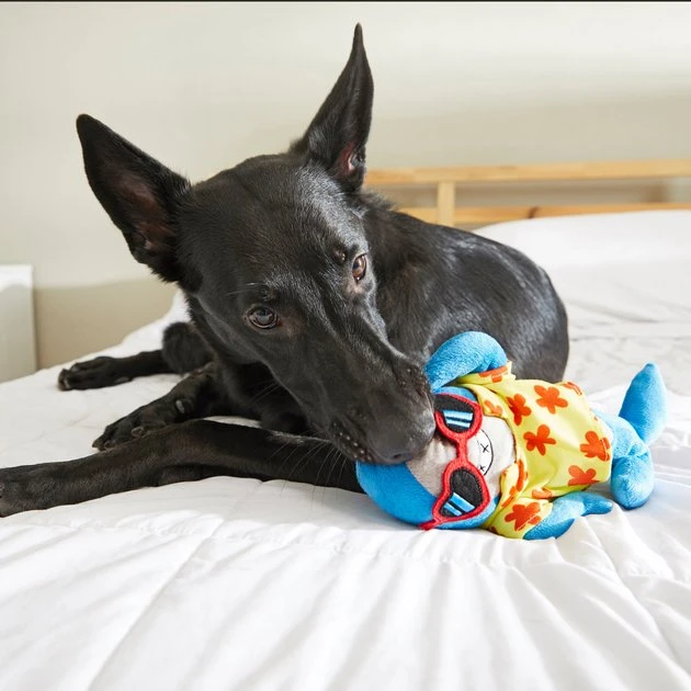 Frisco Summer Fun Plush Shark Dog Toy 4 Frisco Summer Fun Plush Shark Dog Toy - Image 2