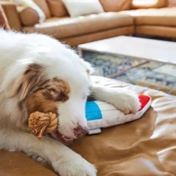 Frisco Summer Fun Plush & Rope Popsicle Dog Toy -FRISCO Sales 214703 PT6. SY630 V1597596505