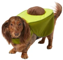 Frisco Avocado Dog & Cat Costume