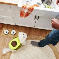 Frisco Avocado Dog & Cat Costume -FRISCO Sales 215427 PT8. SY630 V1599141087