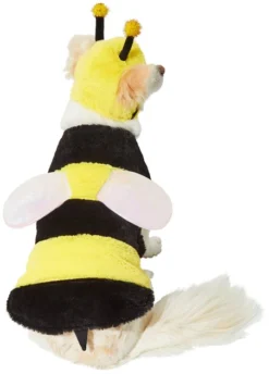 Frisco Bumble Bee Dog & Cat Costume -FRISCO Sales 215489 PT3. SY630 V1624543785