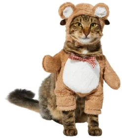 Frisco Front Walking Teddy Bear Dog & Cat Costume