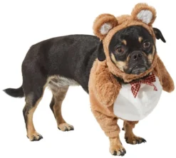 Frisco Front Walking Teddy Bear Dog & Cat Costume -FRISCO Sales 215500 PT3. SY630 V1624402407