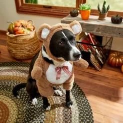 Frisco Front Walking Teddy Bear Dog & Cat Costume -FRISCO Sales 215500 PT8. SY630 V1599140159
