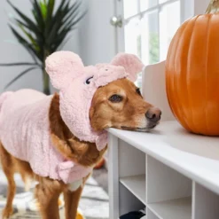 Frisco Pig Dog & Cat Costume -FRISCO Sales 215548 PT8. SY630 V1624341805
