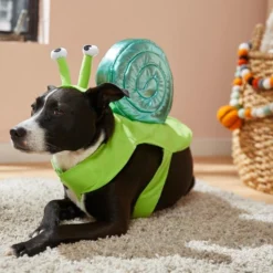 Frisco Snail Dog & Cat Costume -FRISCO Sales 215562 PT8. SY630 V1599141059