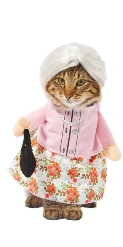 Frisco Front Walking Granny Dog & Cat Costume