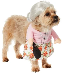 Frisco Front Walking Granny Dog & Cat Costume -FRISCO Sales 215576 PT3. SY630 V1624461176