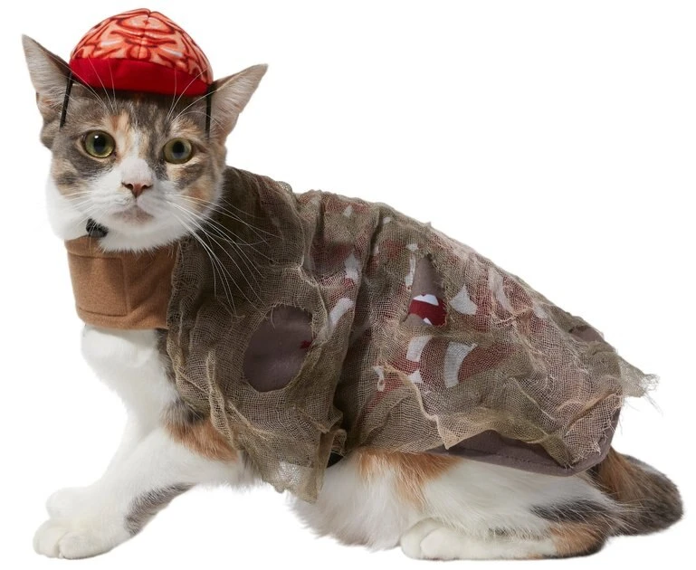 Frisco Zombie Dog & Cat Costume 5 Frisco Zombie Dog & Cat Costume - Image 3