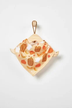 Frisco Whimsical Halloween Dog & Cat Bandana