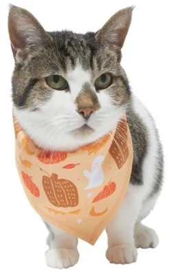 Frisco Whimsical Halloween Dog & Cat Bandana -FRISCO Sales 215651 PT2. SY630 V1637656899