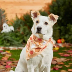 Frisco Whimsical Halloween Dog & Cat Bandana -FRISCO Sales 215651 PT8. SY630 V1599006373