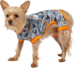 Frisco Halloween Patterned Dog & Cat Jersey PJs -FRISCO Sales 215656 PT2. SY630 V1633082499