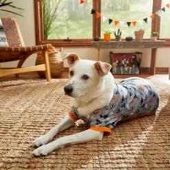 Frisco Halloween Patterned Dog & Cat Jersey PJs -FRISCO Sales 215656 PT8. SY630 V1599225410
