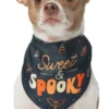 Frisco Sweet & Spooky Dog & Cat Bandana -FRISCO Sales 215671 MAIN. SY630 V1633728991