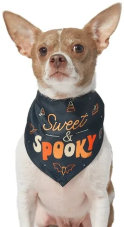 Frisco Sweet & Spooky Dog & Cat Bandana