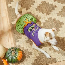 Frisco Let's Get Wicked Dog & Cat Dress -FRISCO Sales 215769 PT8. SY630 V1599225360